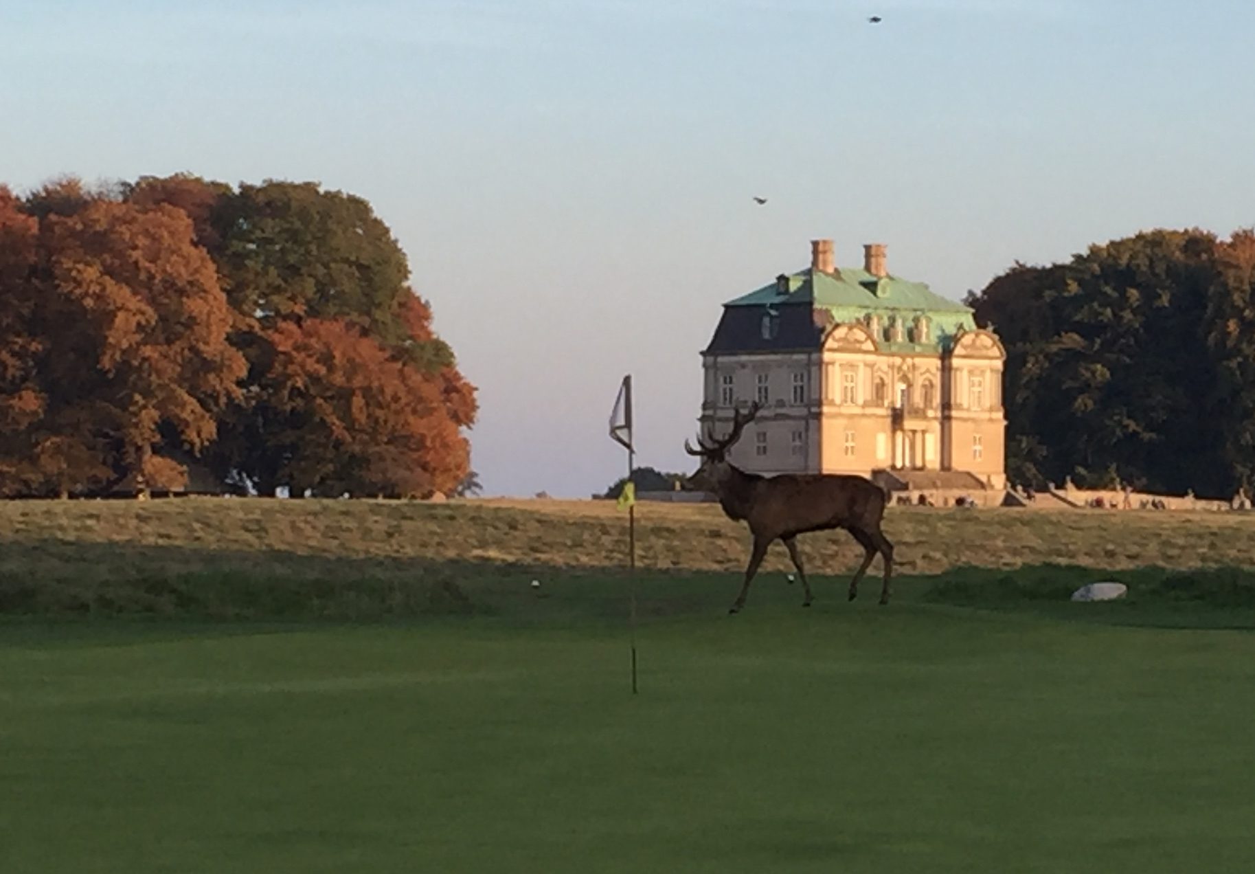 Referat Royal Trophy – Sebber Kloster Golfklub